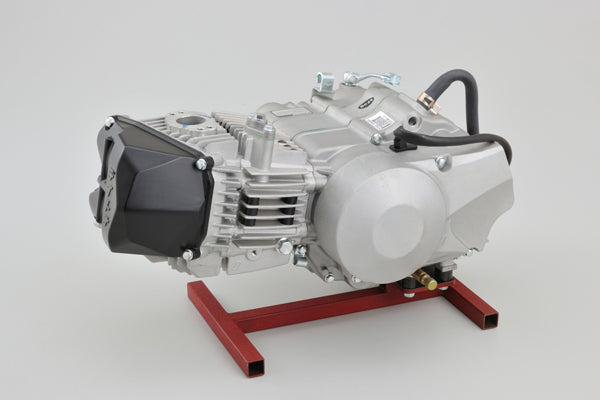 Daytona Anima FZ5 190cc engine