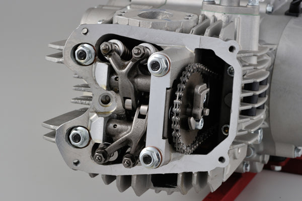 Daytona Anima FZ5 190cc engine