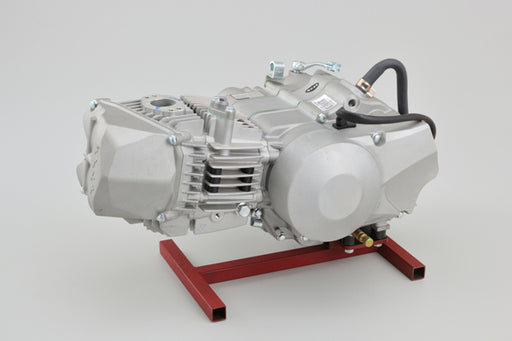 Daytona Anima FS5 190cc engine