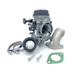 Carburetor and Manifold Kit MV33-1F for Anima F&S Series
