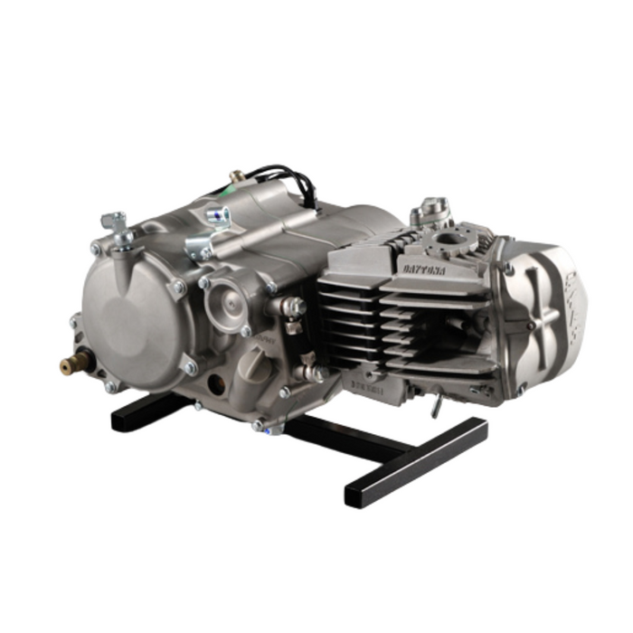 Daytona Anima 190cc Engine FS5 Model