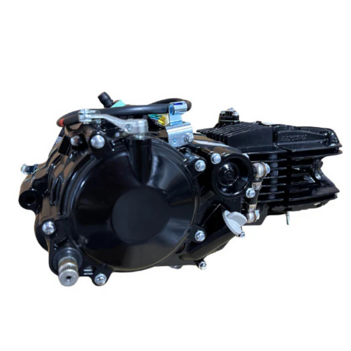 Daytona Anima 190cc Engine FZ5 Model - Black