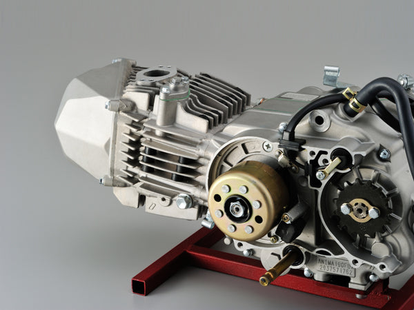 Daytona Anima 190cc engine