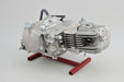 Daytona Anima FSM 190cc engine