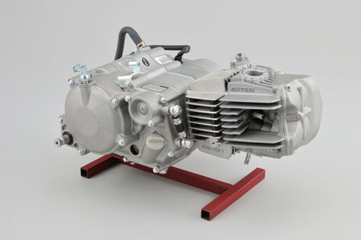 Daytona Anima FSM 190cc engine