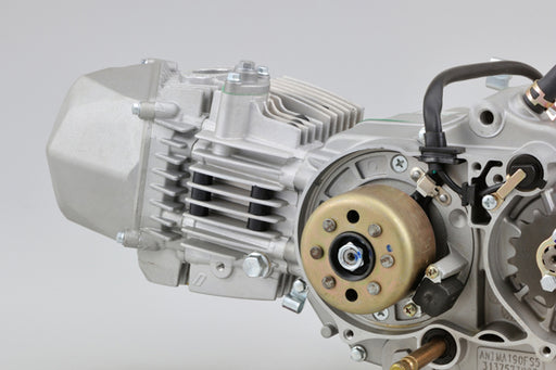 Daytona Anima FSM 190cc engine