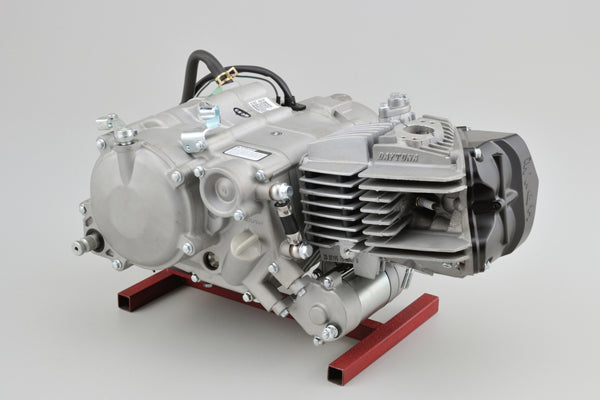 Daytona Anima FE 190cc engine