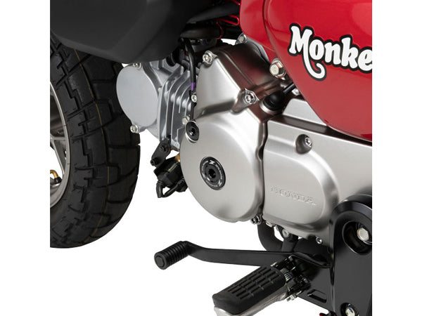 Engine Plug for Honda CRF250L/300L, CRF250 Rally, Trail125 & More - Black